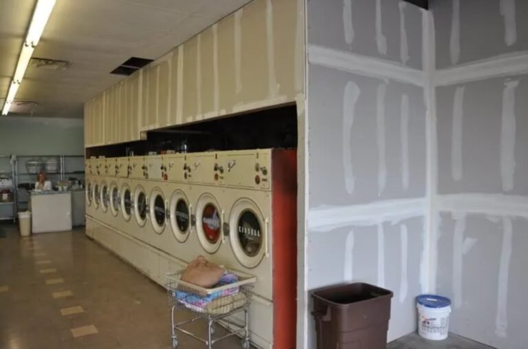 Equine Laundry Services: Keeping Horse Blankets Clean and Fresh